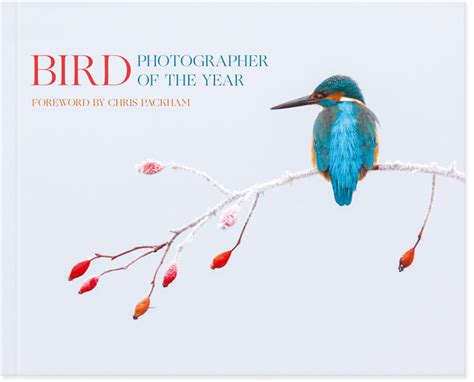 Book And Exhibition Bird Photographer Of The Year 2019 Photocrowd