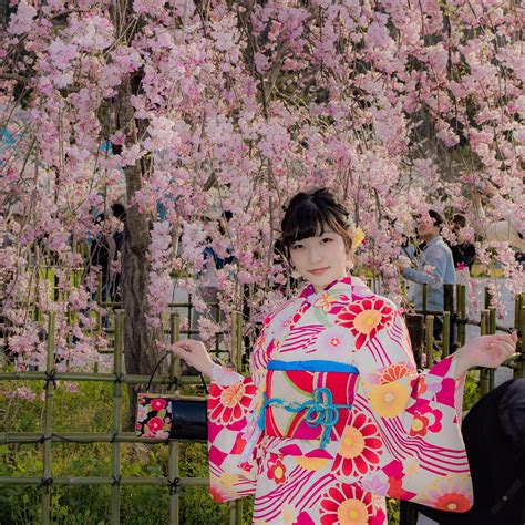 misamisa 🐻‍ ️®️＊🐼 on twitter 夢だった京都で着物👘💕 桜の中でも強めピンクのしだれ桜が1番すき🌸 撮影 しゅうへいさん sekai saikyo ポトレ