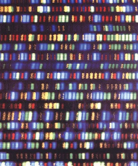 Whole Genome Sequencing Genetics Dna And Benefits Britannica