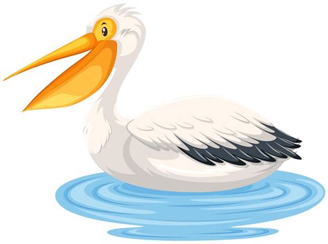 A Pelican On Water 294115 Vector Art At Vecteezy