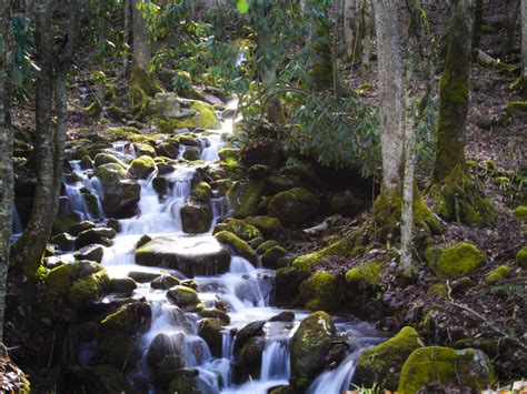 Free Images Waterfall Creek Wilderness River Stream Jungle