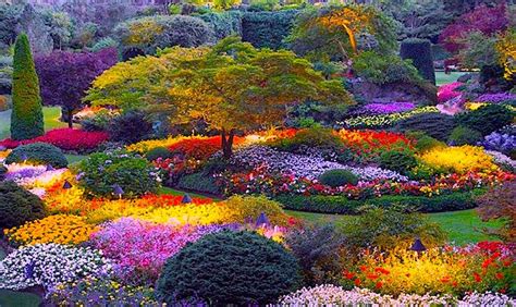 To catalog local flora and present it in wonderful now, we have given our picks for the most beautiful botanical gardens. (377) Twitter | Gardens of the world, Butchart gardens ...