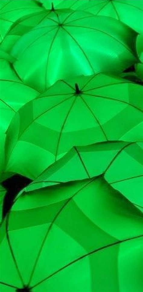 Green Umbrellas Neon Green Simple Green Green Life