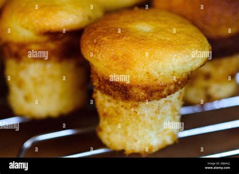 Little Gluten Free Fairy Cakes Cooked In Tall Cake Tin Recipe