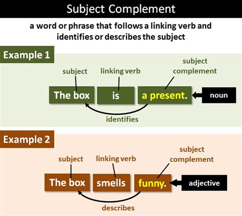Subject Complement Explanation And Examples