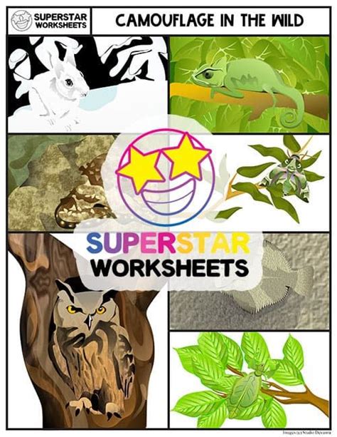 Print Our Free Animal Camouflage Activities Worksheets And Teaching