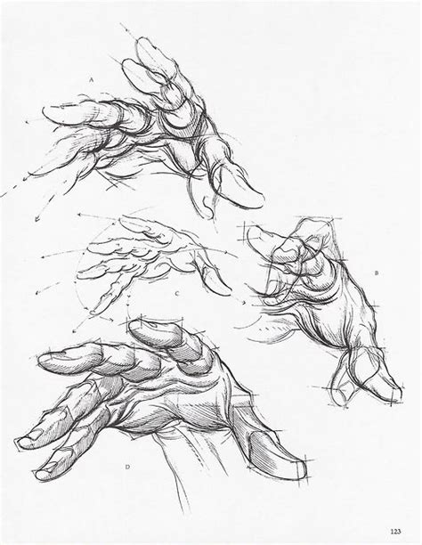 Drawing hands for figurative artists. Hand Anatomy Drawing at GetDrawings | Free download