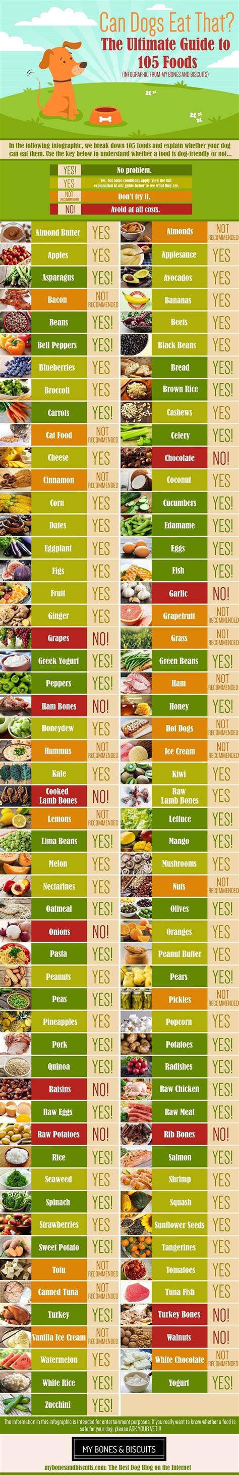Most dog owners would say that their dogs eat anything they can get their paws on. Can Dogs Eat This? EPIC Guide to 105 Foods | Apples ...
