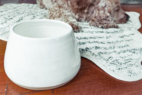 Ceramic Long Eared Dog Bowl In White By Benji Moon Monte And Co