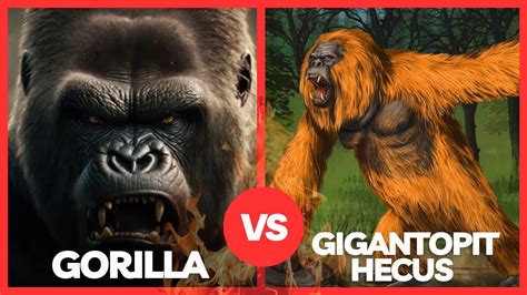 Gorilla Vs Gigantopithecus Youtube