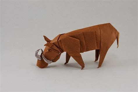 Origami Animals Cool Art Form Of Paper Folding Make Easy Origami