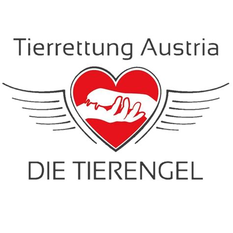 Einige setzen spender mit emotionaler ansprache oder grau­samen bildern mora­lisch unter druck. Tierschutzverein ATIN - Aktion Tiere in Not e.V. - Home ...