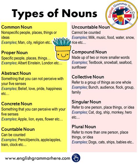 Types Of Nouns In English English Grammar Here