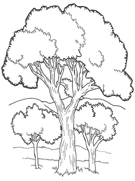 Adult Coloring Pages Free Trees Coloring Pages