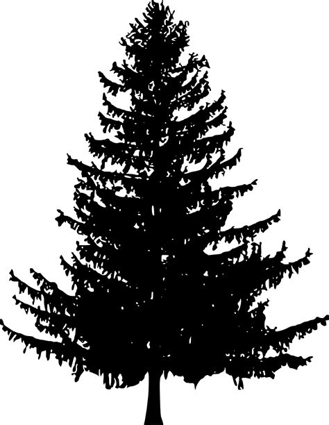 Maybe you would like to learn more about one of these? Collection of Fir Tree PNG Black And White. | PlusPNG