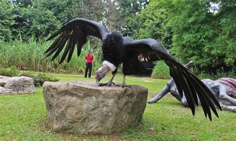 We did not find results for: Flock Over for Big Adventures @ Jurong Bird Park this ...