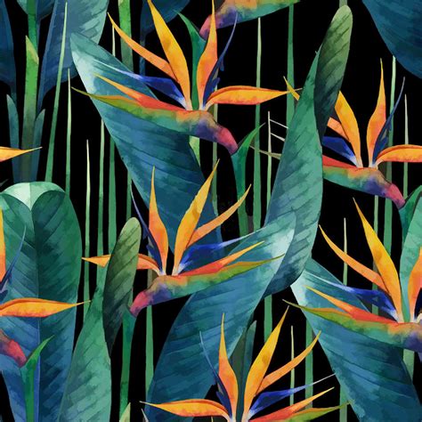 Watercolor Painting Tropical Bird Of Paradise Plants Painting By Elaine