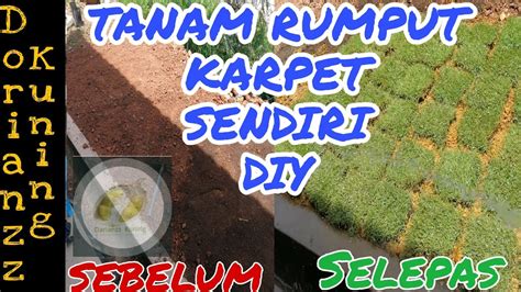 Bila ingin variasi tanahnya bisa dikontur sesuai selera. Cara Mudah Tanam Rumput Karpet || Easy way to grow grass ...