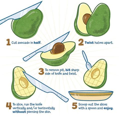 See more ideas about avocado seed, avocado, carving. Everything You Always Wanted to Know About Avocados - Cave ...