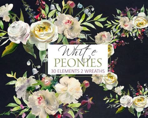 White Peony Flowersl Watercolor Clipart PNG Digital Files ... Free for commercial use no attribution required high quality images.