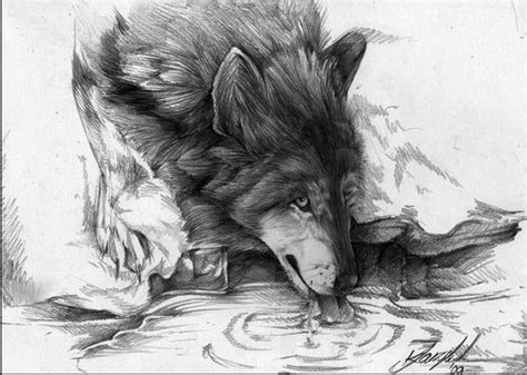 It is a young of the wolf which is also called grey wolf, timber wolf or western wolf. 10 Cool Wolf Drawings for Inspiration, http://hative.com ...