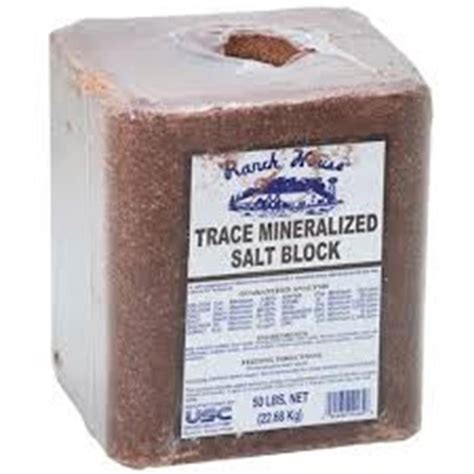 United Salt Trace Mineral Block Salt 50