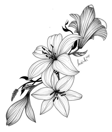 Pin By Janice Hobbs On Tattoos Easy Flower Drawings Flower Drawing