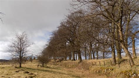 Photographs Route Description And Location Map Of Theantonine Wall