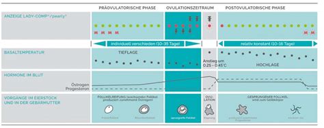 Ein schwangerschaftstest ist sinnvoll,wenn deine periode ausgeblieben ist und du andere erste anzeichen für eine schwangerschaft wahrnimmst. Mentruationszyklus verfolgen & Deinen Körper besser verstehen