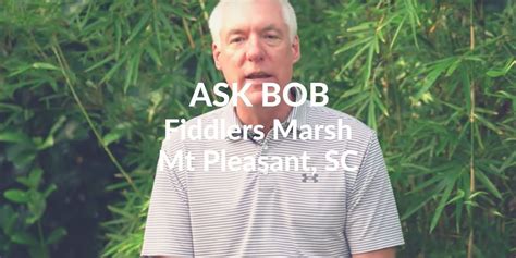 Ask Bob Fiddlers Marsh Mt Pleasant Sc Charleston Videos By The