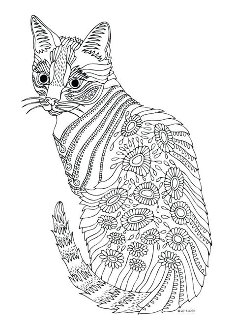 Cat Coloring Pages For Adults At Free