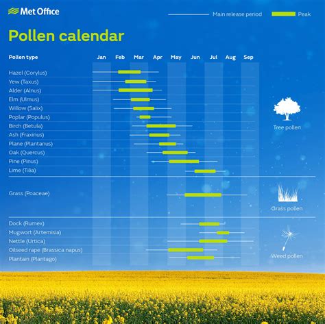 What’s the pollen forecast this year? | Official blog of the Met Office