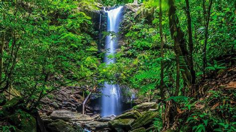 Blue Basin Waterfall The Gem Of Diego Martin In Trinidad And Tobago