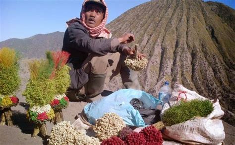 Namun saat melewati candi ceto atau menjelang puncak hargo dumilah, turis bisa melihat pemandangan padang bunga edelweis berwarna putih. Toko Bunga Citra Florist Lamongan 08179618432 ...