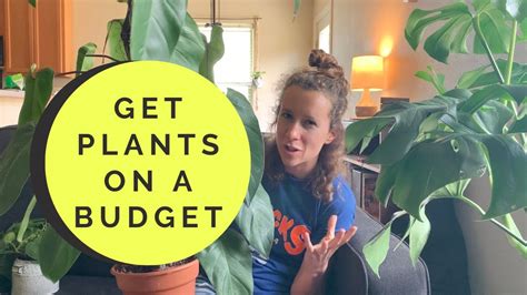 How to grow your plant collection on a budget - YouTube