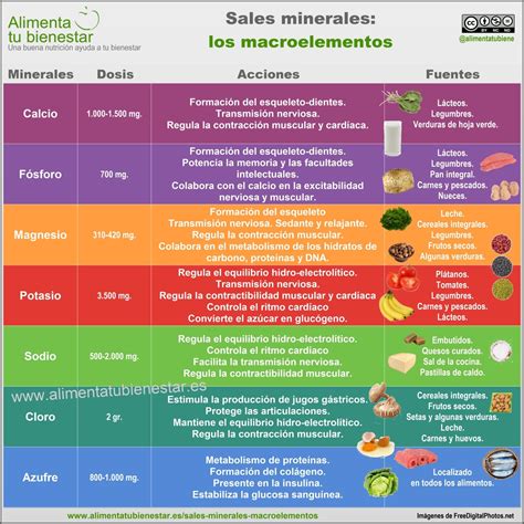 Infografía Sales Minerales Los Macroelementos Alimenta Tu Bienestar