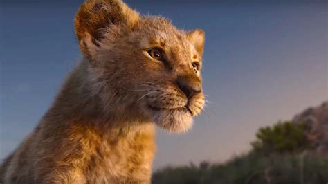 30 Classic Lion King Quotes That Inspire And Empower