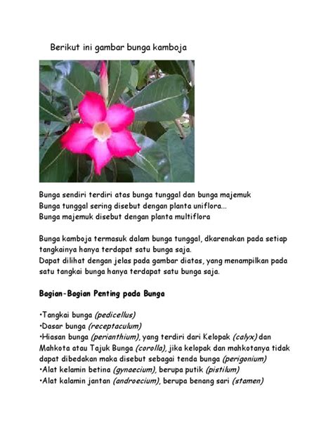 Kupulan gambar sketsa bunga yang mudah akan kamu temukan di sini. Gambar Bunga Sepatu Dan Bagiannya | Pickini