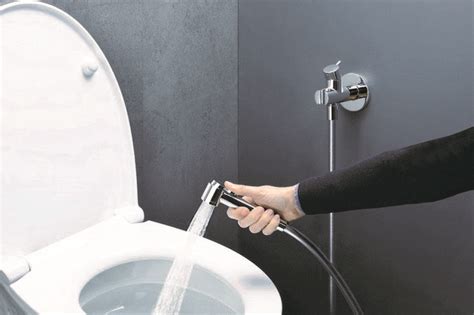 Bidet Toilets Types And Installation Process Housing News
