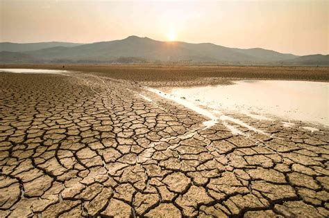 The Damage Dealt By Droughts Defenders Of Wildlife