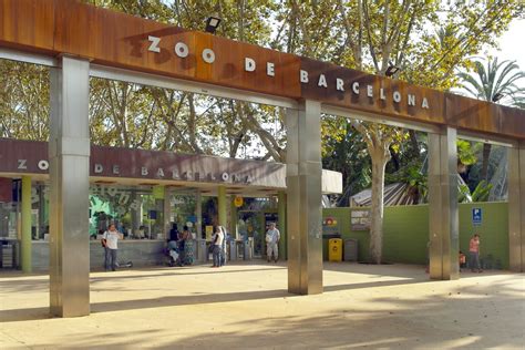 El Zoo De Barcelona Meet Barcelona
