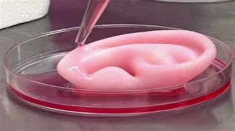 3d Organ Bioprinting Who Wants To Live Forever Bioprinting World