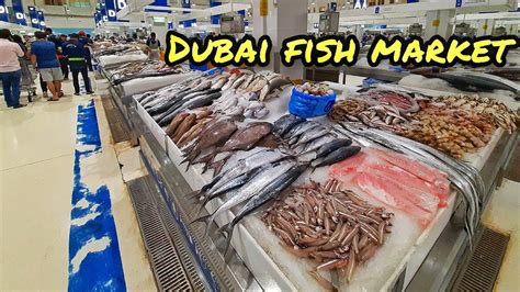 Dubai Fish Market Fish Market Dubai Tour Types Prices سوق السمك