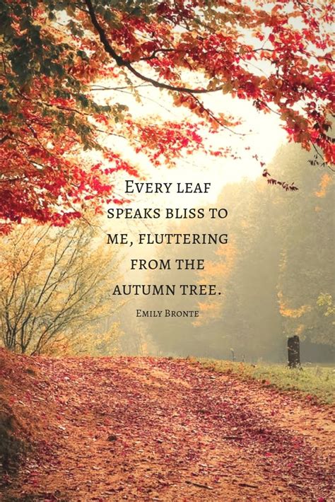 Autumn Quotes Fall Quotes And Captions To Enchant And Deepen The Soul Updated For