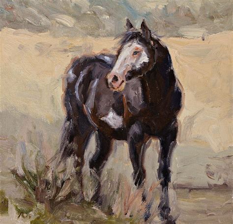 Karen Mclain Studio Wild Horses Portraits Of Freedom