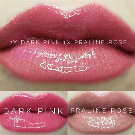 LipSense Distributor 228660 Perpetualpucker Dark Pink And Praline
