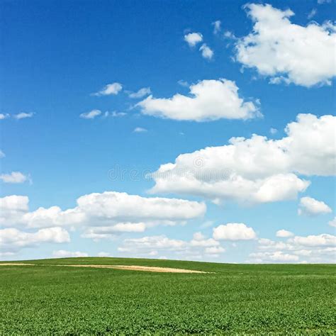 Campo Verde Y Cielo Azul Con Nubes Hermosa Pradera Como Naturaleza Y