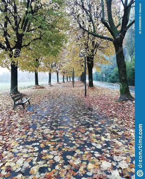 Autumn In Milan Italy Season Landscape Stock Photo Image Of Autumn