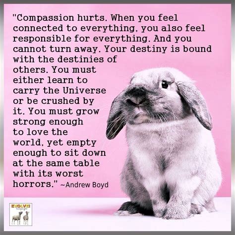 I So Relate To This Reincarnation Quotes V Quote Compassion Fatigue