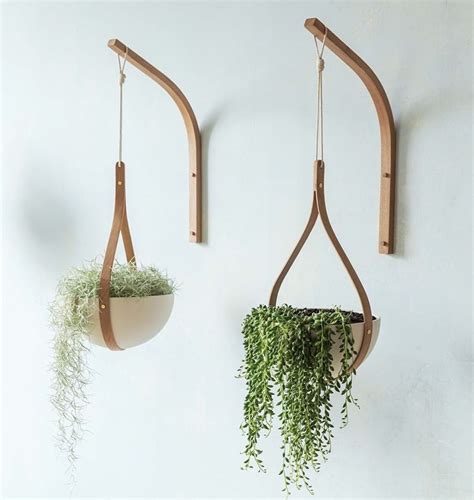 Beautiful Bent Wood Plant Hangers And Brackets By Tom Raffield